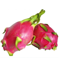 越南白心火龙果5斤装 白肉火龙果进口新鲜水果