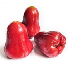 新鲜水果台湾莲雾 黑珍珠莲雾 黑金刚莲雾 5斤装莲雾大果